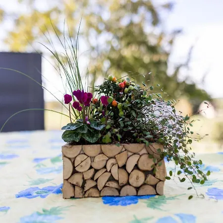 Serene In Hills Thedirac