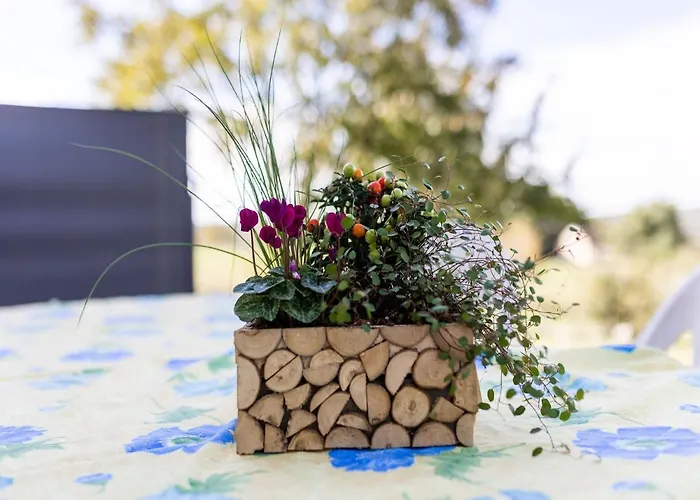 Serene In Hills Thédirac